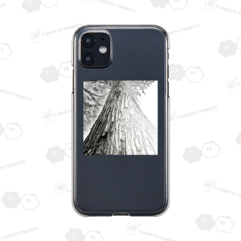 神楽坂シンドローム