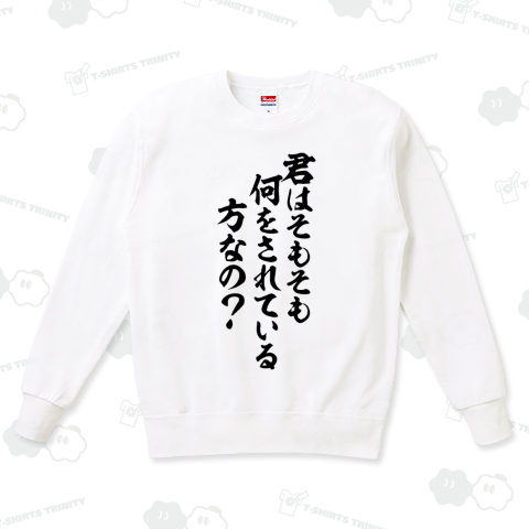 君はそもそも何をされている方なの?