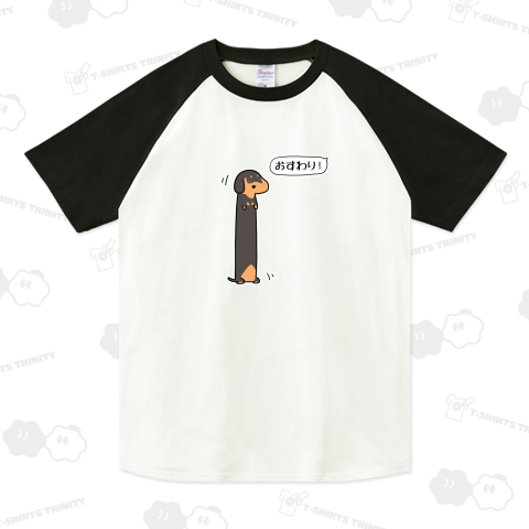 華麗なおすわりをマスターしたダックスフンド