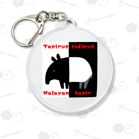 モノクロの世界を今日も逞しく生き抜くマレーバクさん