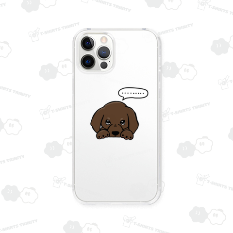 悪いことしたダックス