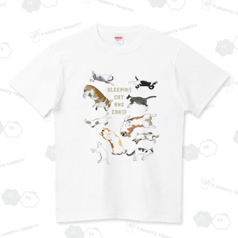 猫の中にコーギーいる