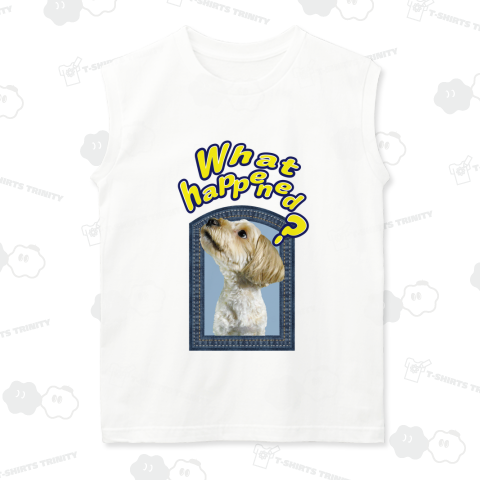 かわいい犬のマルちゃん(実写)04