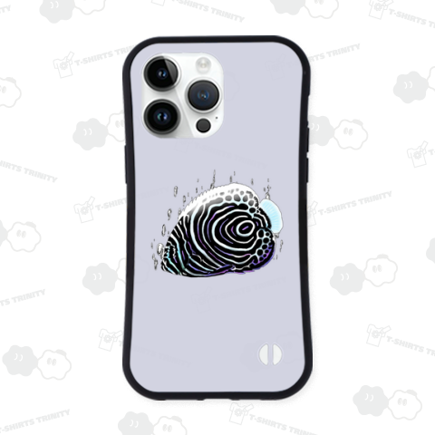 タテジマキンチャクダイの幼魚