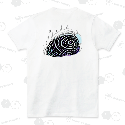 タテジマキンチャクダイの幼魚(バックプリント)