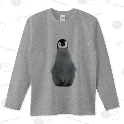 皇帝ペンギンの赤ちゃん