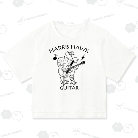 ハリスホーク・ギター・鷲・鷹・音楽・モモアカノスリ・なつく・ペット・狩り・Harris Hawk・イラスト・Guitar・絵・鳩よけ・鳥・猛禽・タカ目タカ科・オリジナル作品(C)