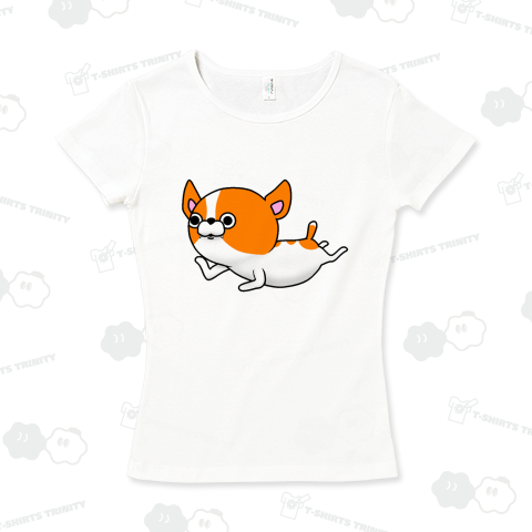 ジャックラッセル 犬