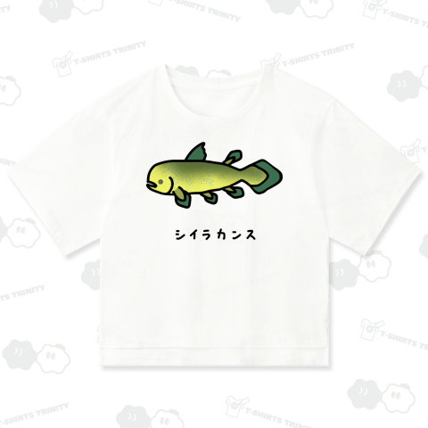 シイラカンス♪2012