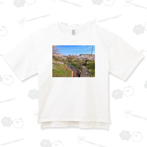 田舎町の風景_2204