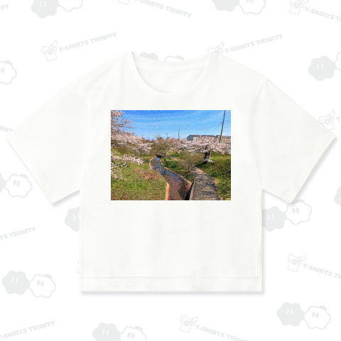 田舎町の風景_2204