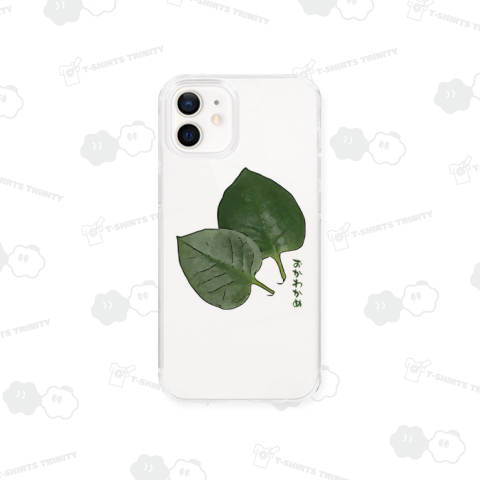 おかわかめ_221103