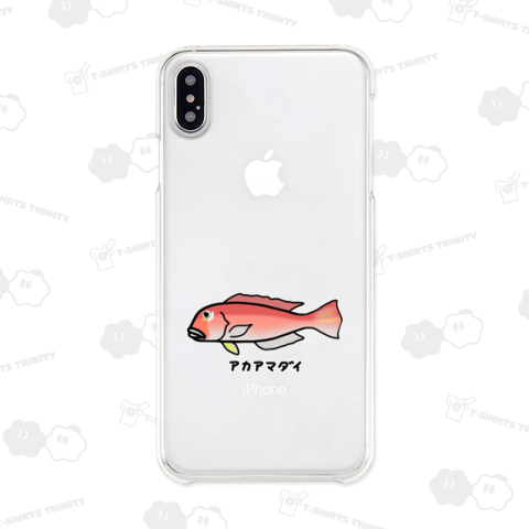 アカアマダイ♪250428