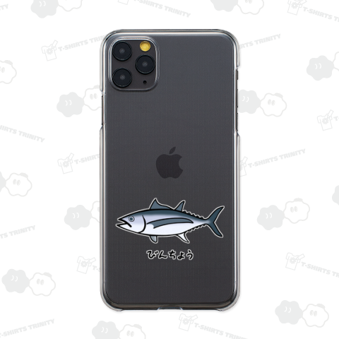 ビンチョウ♪250804