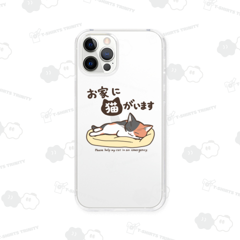 お家に猫がいます(三毛猫ver)