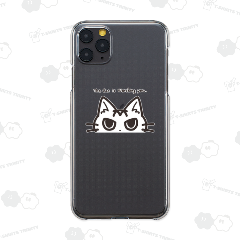 見つめるねこちゃん