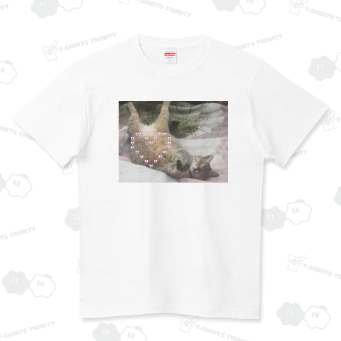 CIAOちゅ~る欲しがるトラちゃん