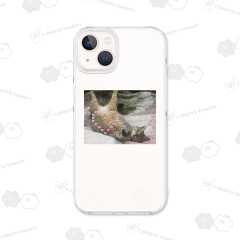 CIAOちゅ~る欲しがるトラちゃん