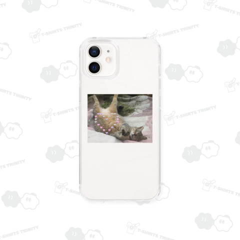 CIAOちゅ~る欲しがるトラちゃん